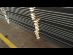 API 11B Grade D Oilfield Sucker Rods 2ft 3ft 4ft 5ft 6ft Pony Rod