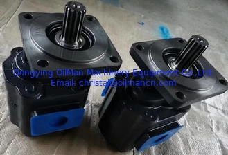  Hydraulic Submersible Water Pump , CBGJ Gear Oil Pumps