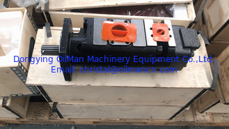  Hydraulic Submersible Water Pump , CBGJ Gear Oil Pumps