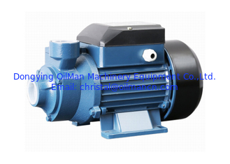 100% Copper Wire 0.5hp High Pressure Motor QB60 Electrical Vortex Water Pump