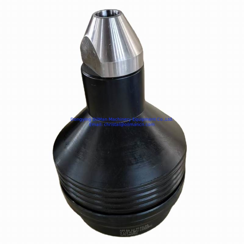 Cameron Style Type H Back Pressure Valves & Two-Way Check Valves