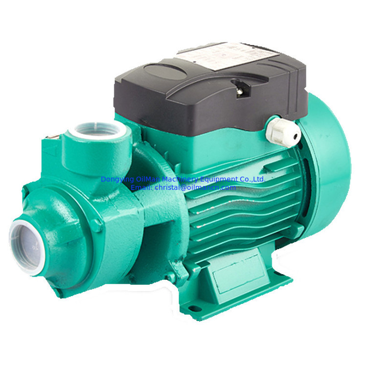 Best Price 1 Inch 220 Volt Qb60 0.5 Hp 0.75hp 1hp Domestic Garden Electric Motor Vortex Water Pump