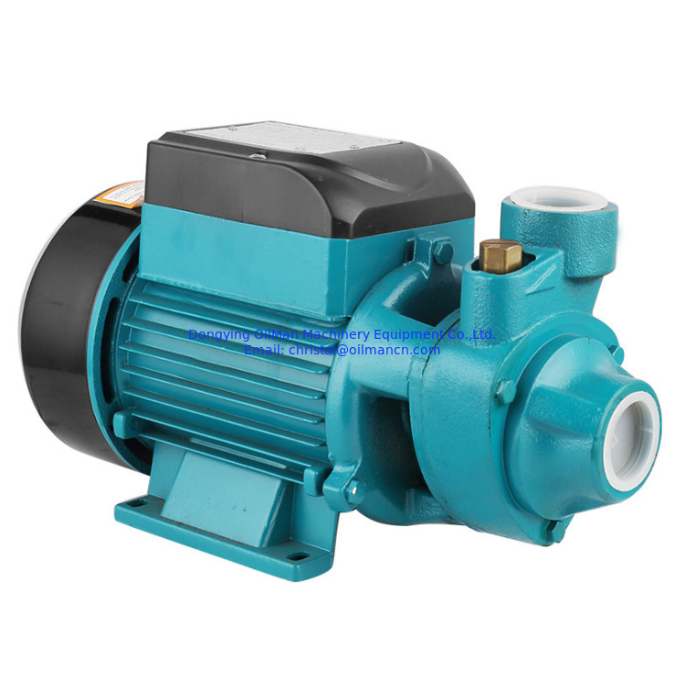 100% Copper Wire 0.5hp High Pressure Motor QB60 Electrical Vortex Water Pump