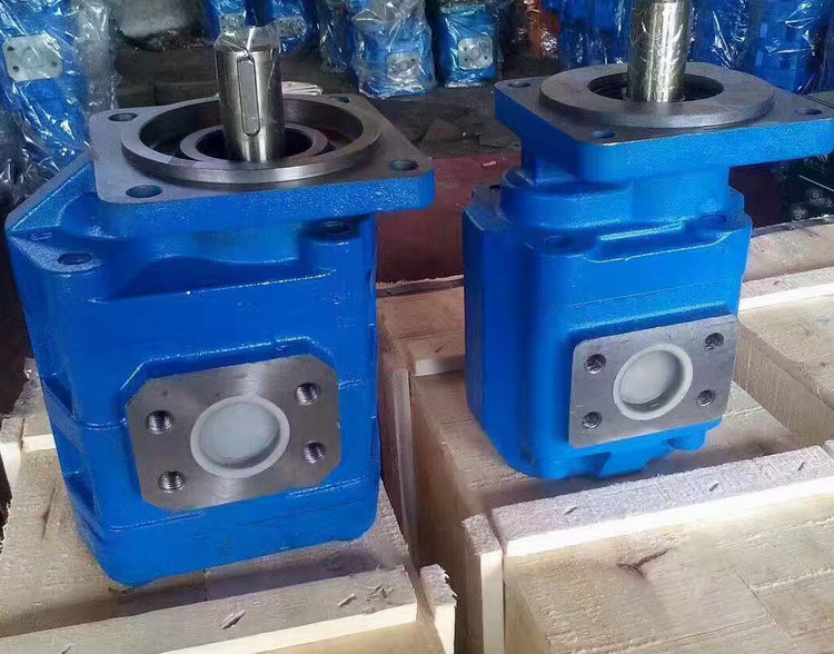 XCMG XGMA Hydraulic Submersible Water Pump , Liugong Hydraulic Gear Pump